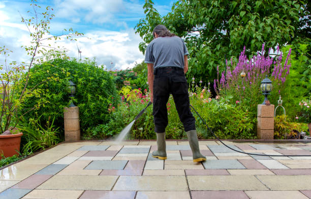 Best Driveway Pressure Washing  in Steele, MO